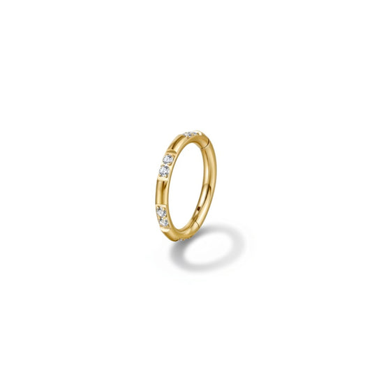 Glimmer Hoop Piercing Piercing
