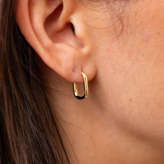 Medium Oval Hoops