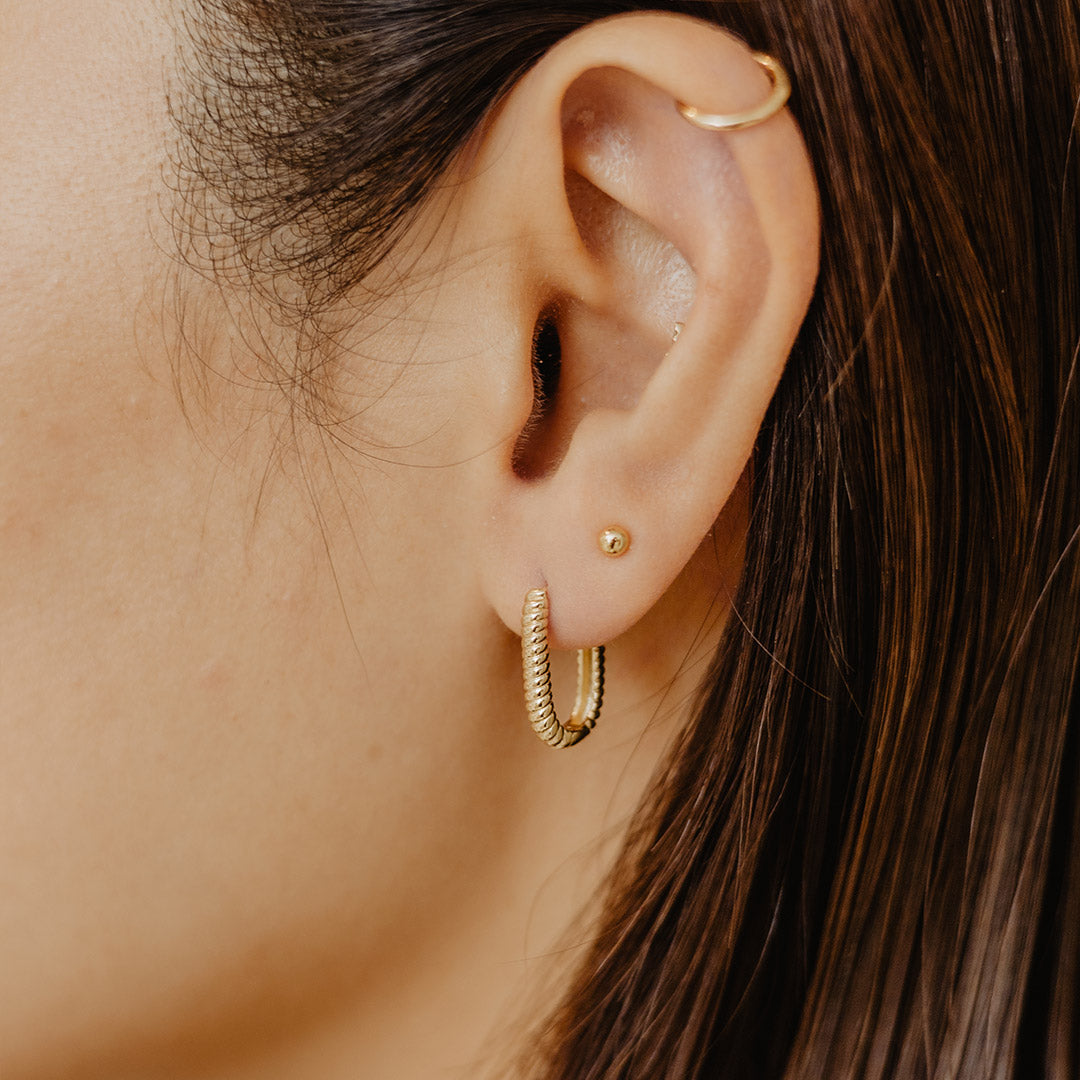 Créoles ovales torsadées en or massif