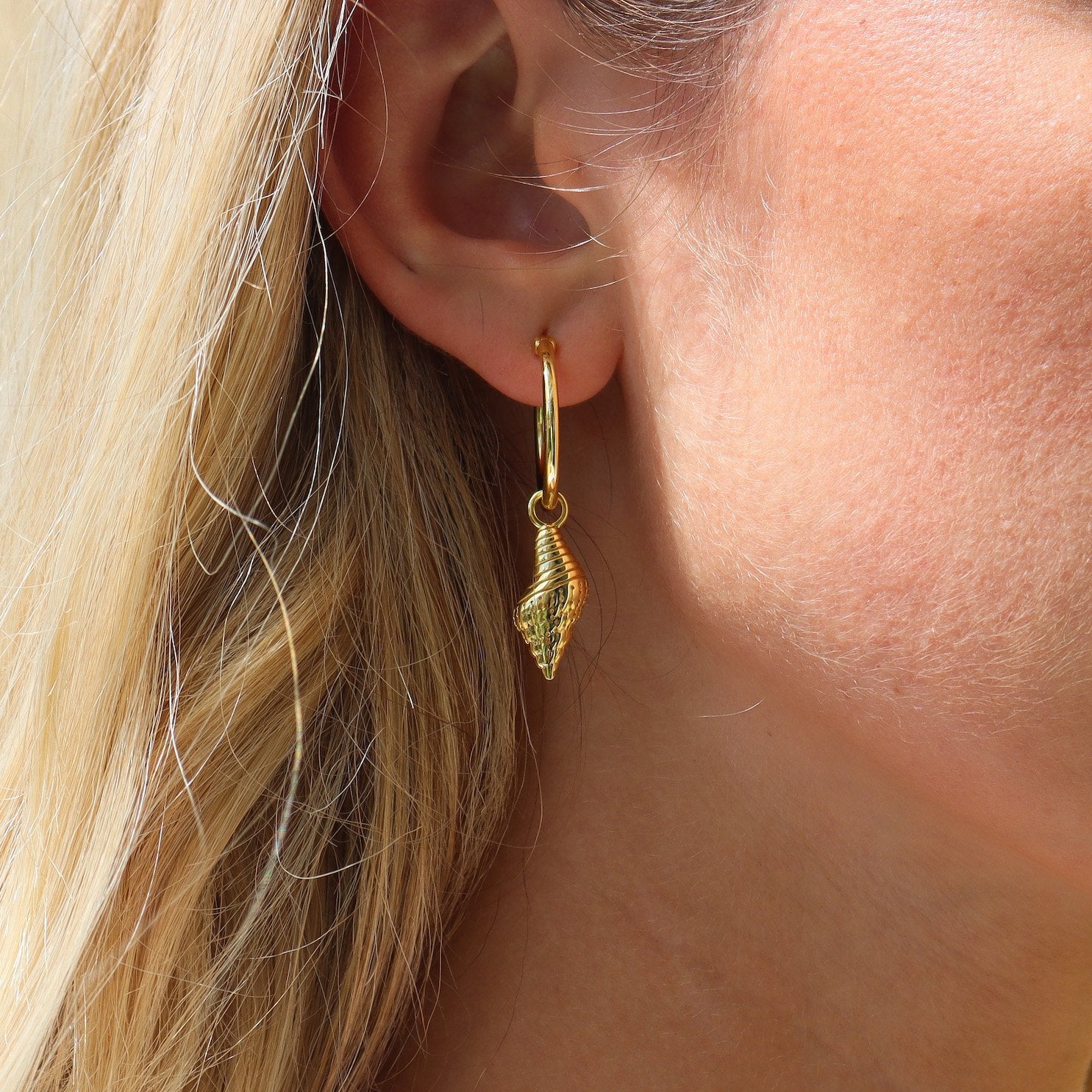 14k Gold Conch Earrings
