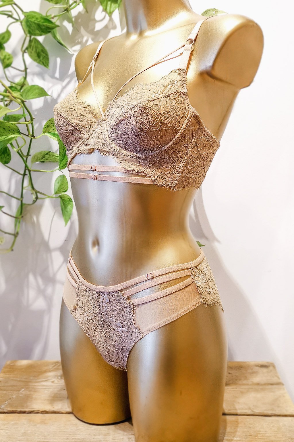 Lingerie Irina Beige Bra  Lace Underwear for Women - KEMMI Collection